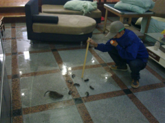 對家庭，小區四害防治處